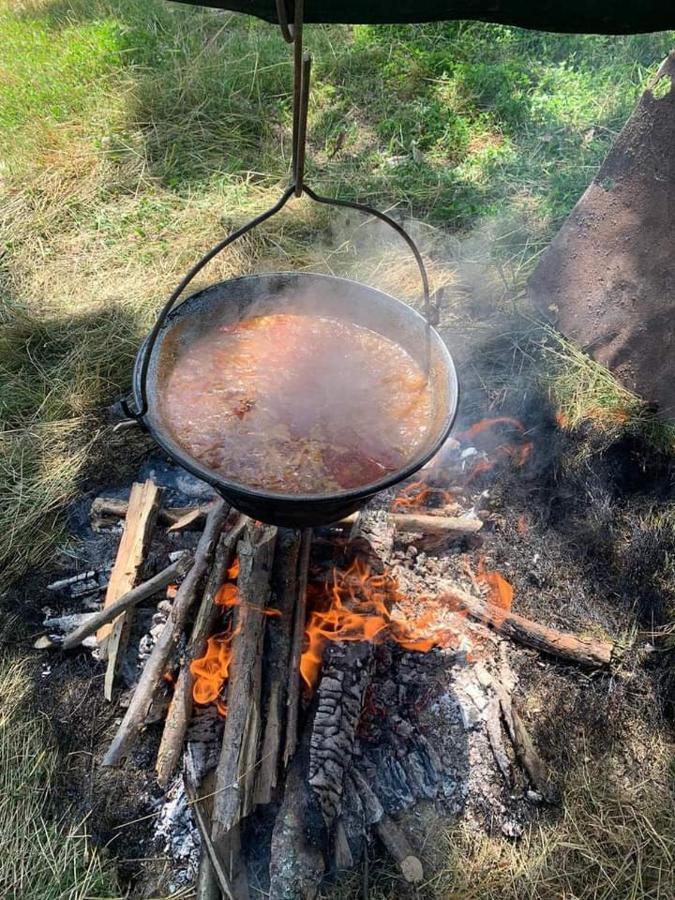Willa Casa De La Ferma Mariuca Berbesti Zewnętrze zdjęcie