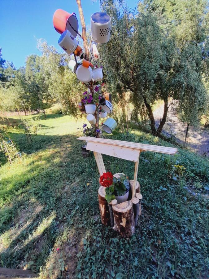 Willa Casa De La Ferma Mariuca Berbesti Zewnętrze zdjęcie