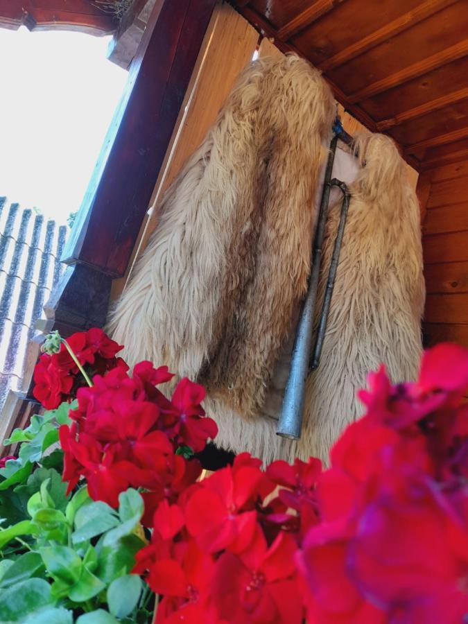 Willa Casa De La Ferma Mariuca Berbesti Zewnętrze zdjęcie