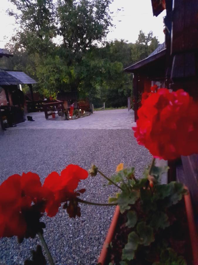 Willa Casa De La Ferma Mariuca Berbesti Zewnętrze zdjęcie