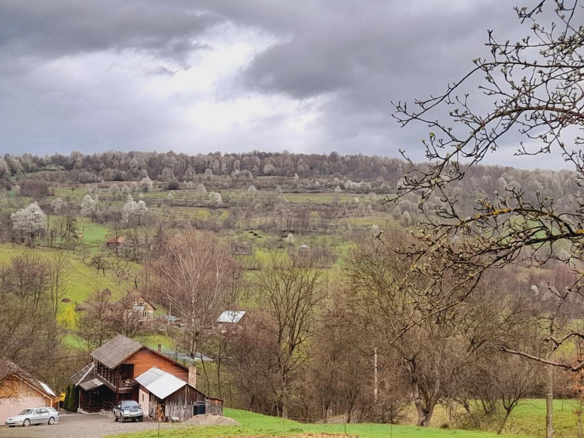 Willa Casa De La Ferma Mariuca Berbesti Zewnętrze zdjęcie