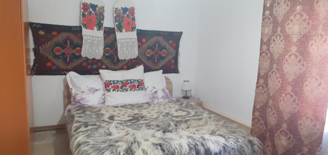 Willa Casa De La Ferma Mariuca Berbesti Zewnętrze zdjęcie