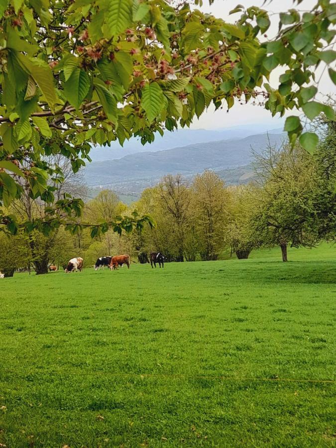 Willa Casa De La Ferma Mariuca Berbesti Zewnętrze zdjęcie