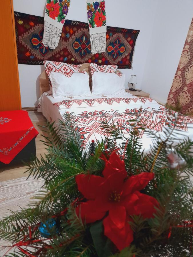 Willa Casa De La Ferma Mariuca Berbesti Zewnętrze zdjęcie