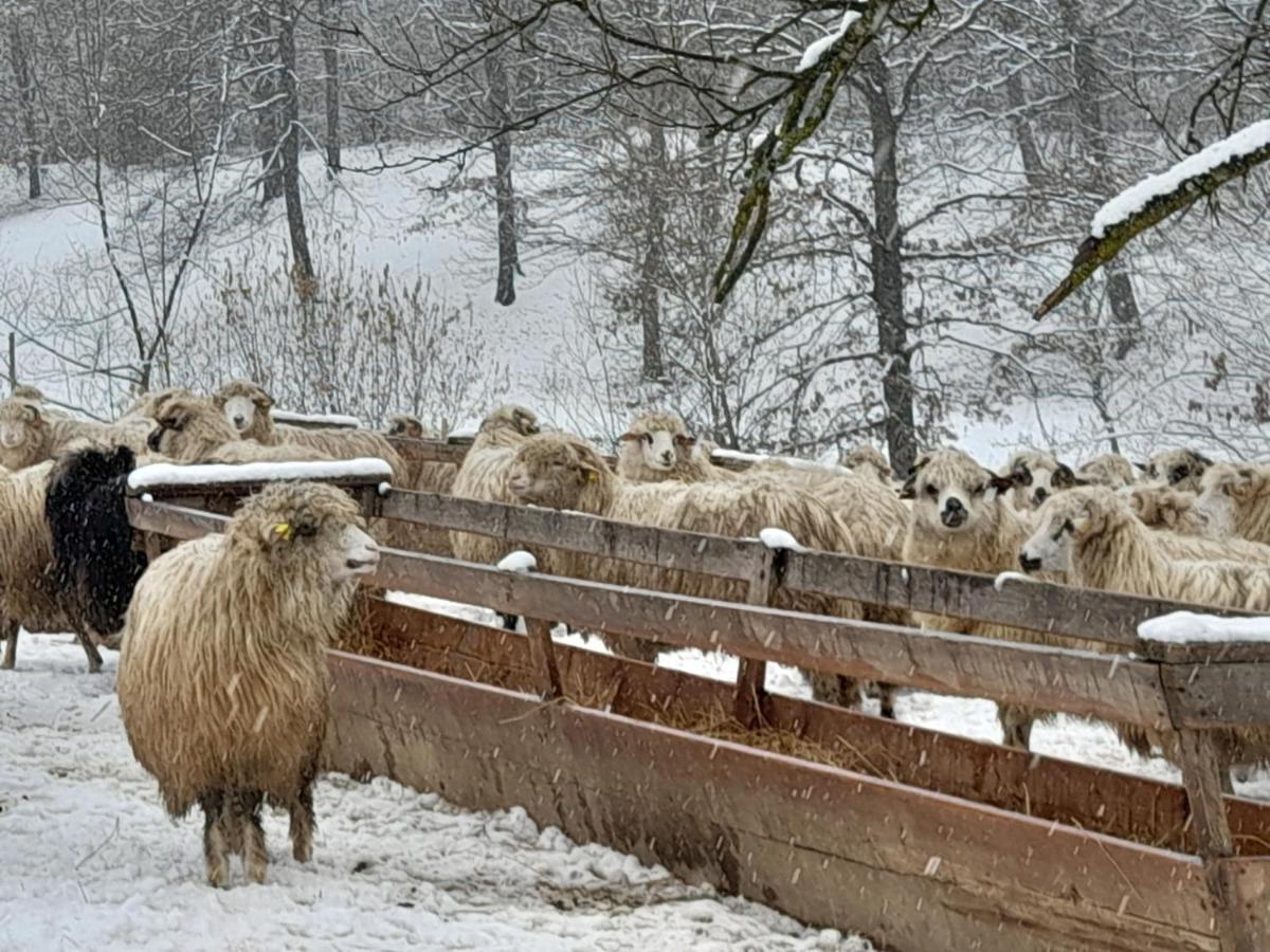 Willa Casa De La Ferma Mariuca Berbesti Zewnętrze zdjęcie